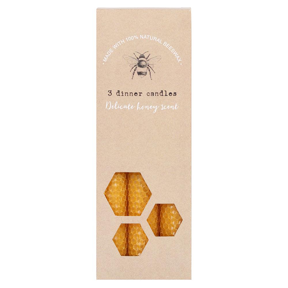 🌿 Set of 3 Beeswax Candles | Kind Habit